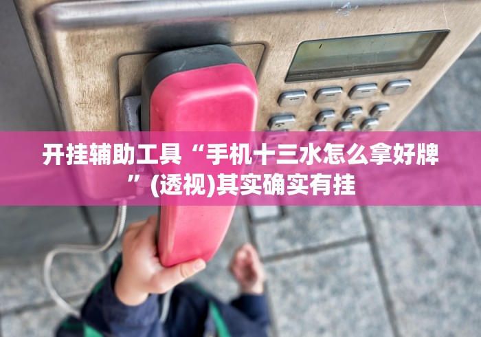 开挂辅助工具“手机十三水怎么拿好牌”(透视)其实确实有挂