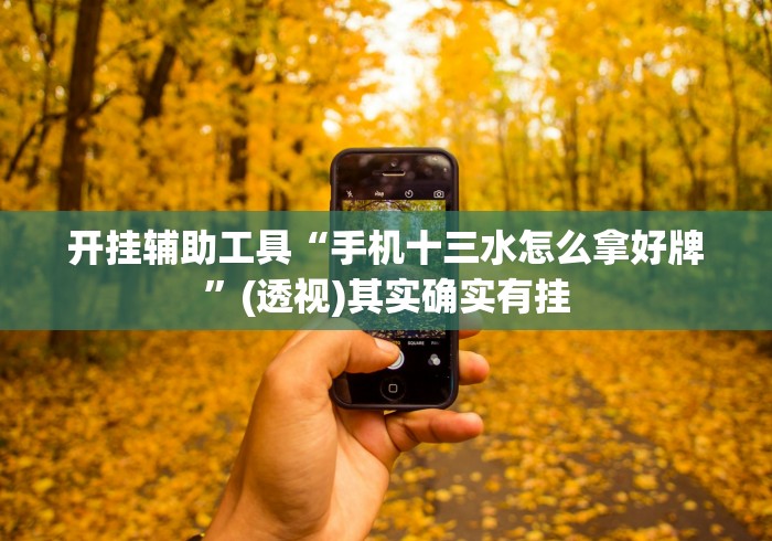 开挂辅助工具“手机十三水怎么拿好牌	”(透视)其实确实有挂