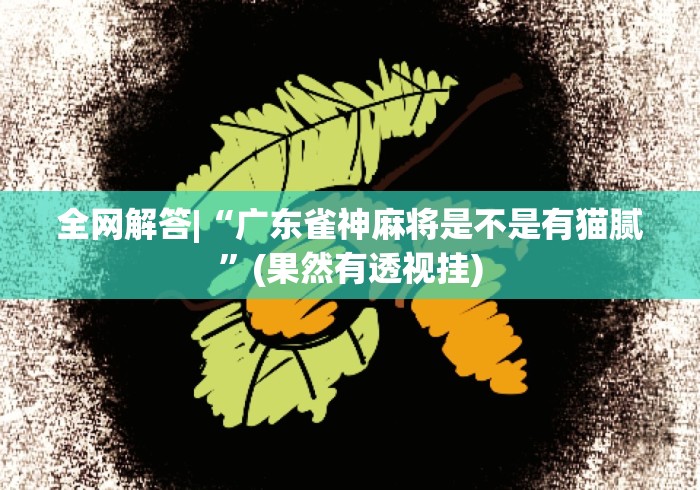 全网解答|“广东雀神麻将是不是有猫腻”(果然有透视挂)
