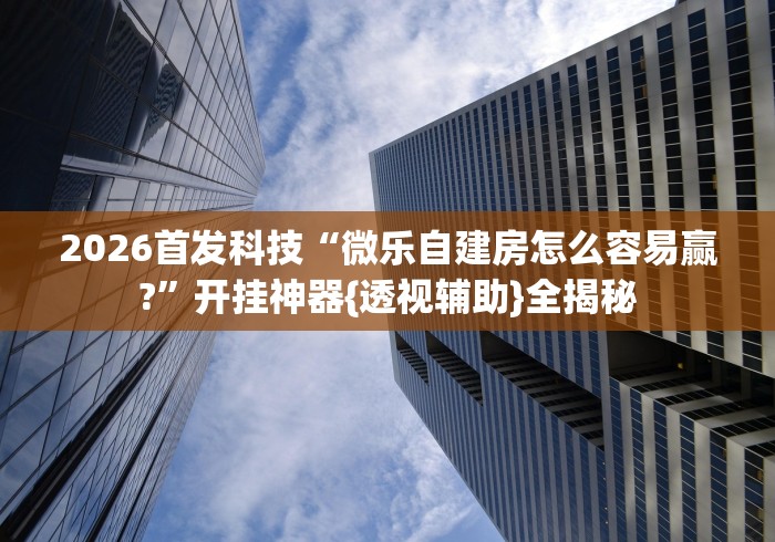 最新教程“微乐透视辅助器(免费)”掌握辅助功能必胜规则