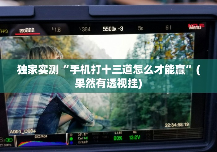 独家实测“手机打十三道怎么才能赢”(果然有透视挂)