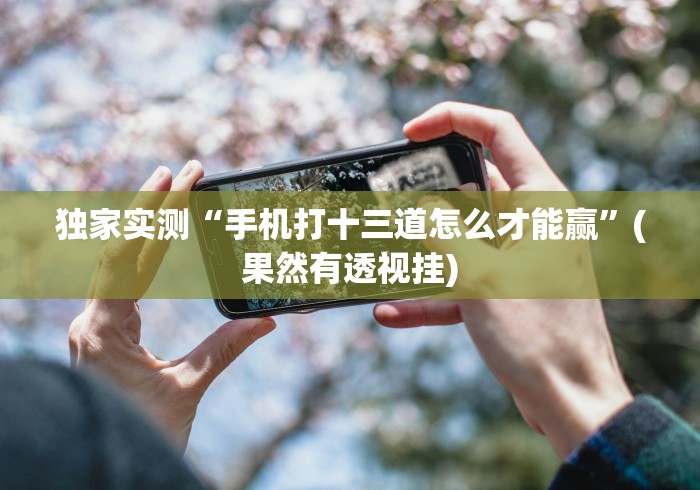 独家实测“手机打十三道怎么才能赢	”(果然有透视挂)