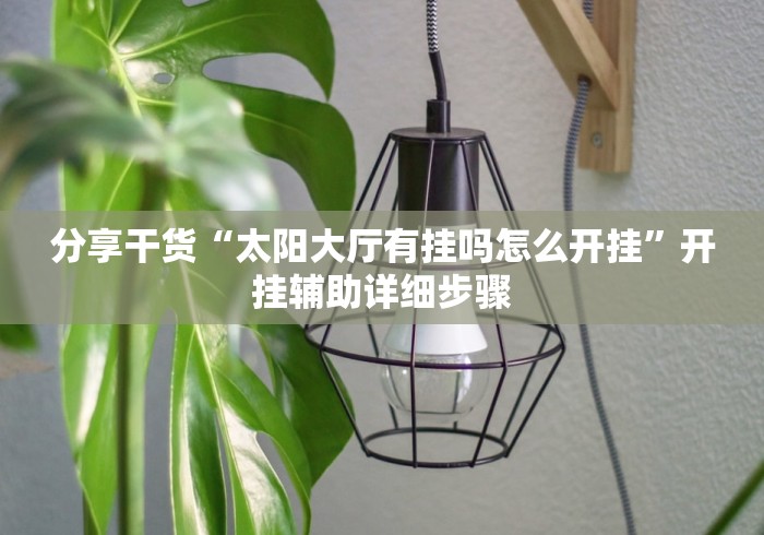 科普|“鸿运十三水怎么开挂”(曝光透视必备猫腻)