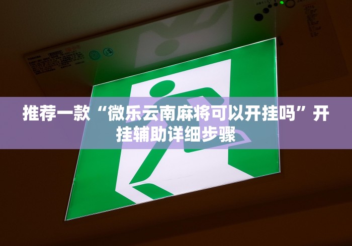 推荐一款“微乐云南麻将可以开挂吗”开挂辅助详细步骤