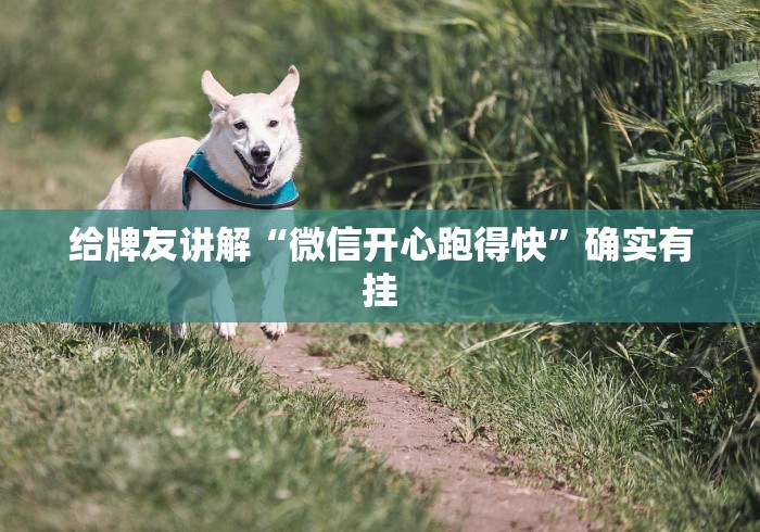 给牌友讲解“微信开心跑得快”确实有挂