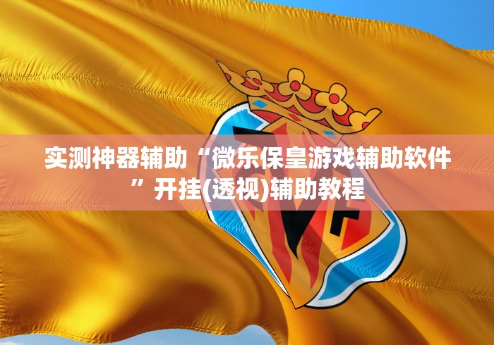 实测神器辅助“微乐保皇游戏辅助软件”开挂(透视)辅助教程
