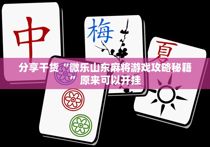 安装程序教程“新猴王大厅有没有挂”详细分享装挂步骤教程