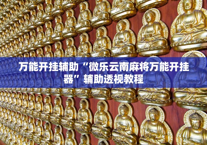 万能开挂辅助“微乐云南麻将万能开挂器”辅助透视教程