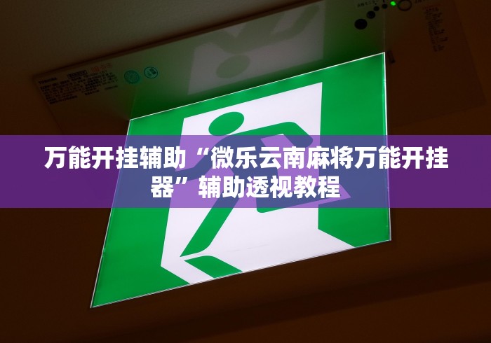 万能开挂辅助“微乐云南麻将万能开挂器”辅助透视教程