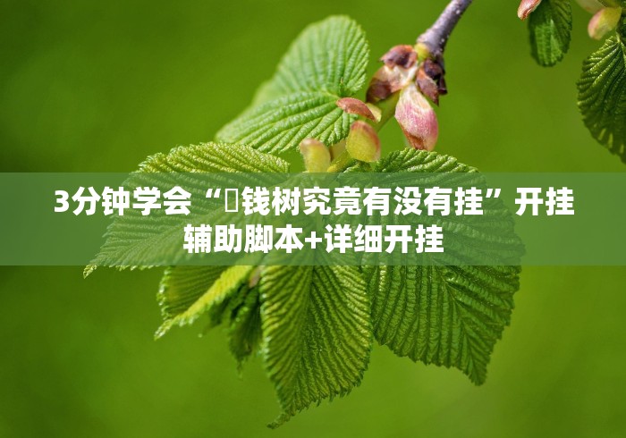 3分钟学会“揺钱树究竟有没有挂	”开挂辅助脚本+详细开挂
