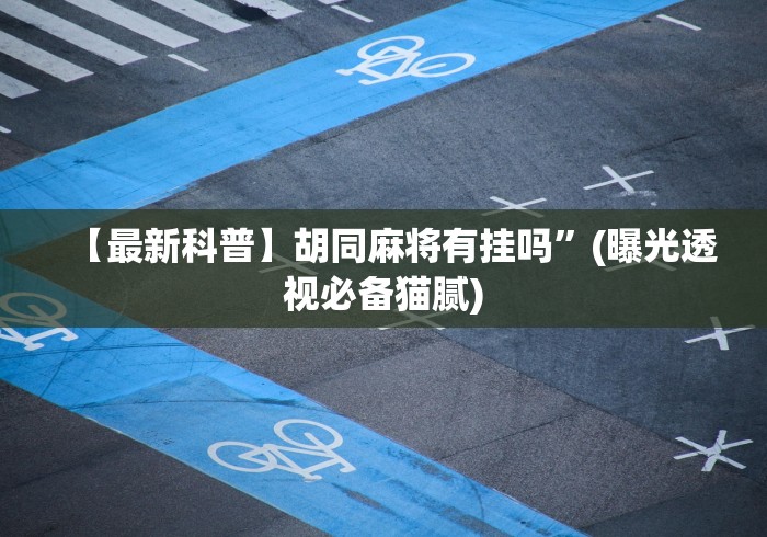 【最新科普】胡同麻将有挂吗”(曝光透视必备猫腻)