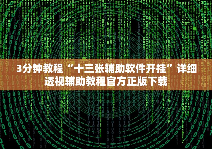 3分钟教程“十三张辅助软件开挂”详细透视辅助教程官方正版下载