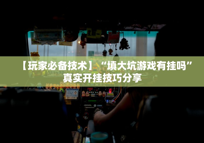 【玩家必备技术】“填大坑游戏有挂吗	”真实开挂技巧分享