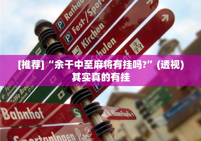 [推荐]“余干中至麻将有挂吗?”(透视)其实真的有挂