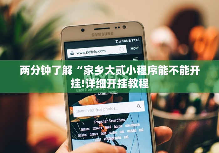 两分钟了解“家乡大贰小程序能不能开挂!详细开挂教程 两分钟了解“家乡大贰小程序能不能开挂!详细开挂教程