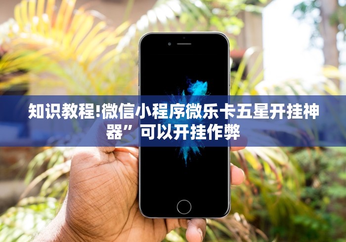 知识教程!微信小程序微乐卡五星开挂神器”可以开挂作弊