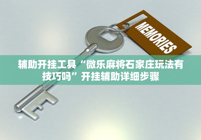 辅助开挂工具“微乐麻将石家庄玩法有技巧吗”开挂辅助详细步骤