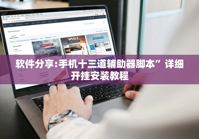 软件分享:手机十三道辅助器脚本	”详细开挂安装教程