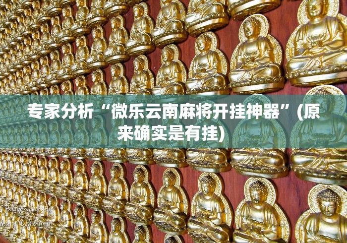 专家分析“微乐云南麻将开挂神器”(原来确实是有挂) 