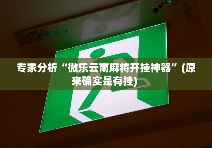 专家分析“微乐云南麻将开挂神器”(原来确实是有挂) 