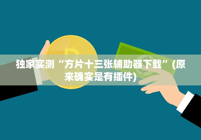 独家实测“方片十三张辅助器下载”(原来确实是有插件)