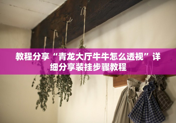 教程分享“青龙大厅牛牛怎么透视”详细分享装挂步骤教程