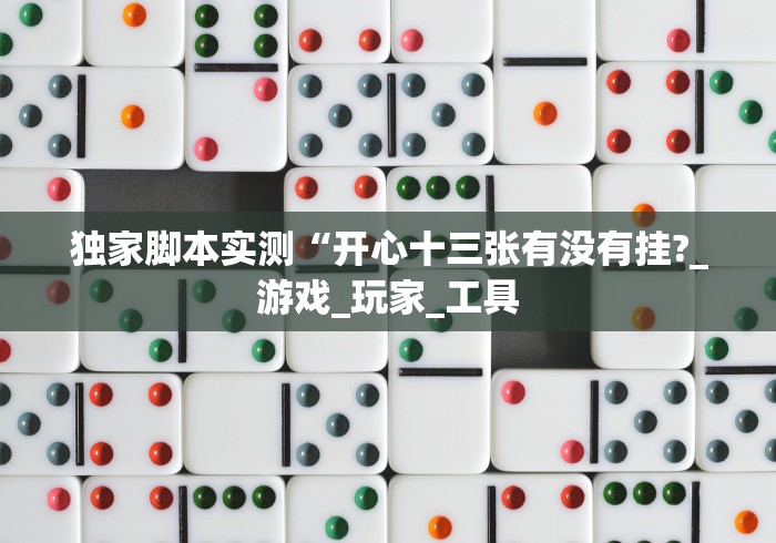 独家脚本实测“开心十三张有没有挂?_游戏_玩家_工具