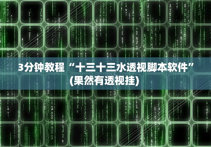 3分钟教程“十三十三水透视脚本软件”(果然有透视挂) 