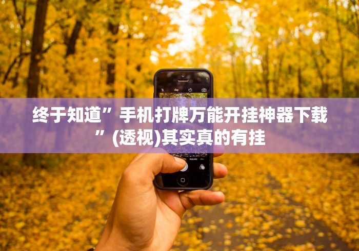 终于知道”手机打牌万能开挂神器下载	”(透视)其实真的有挂