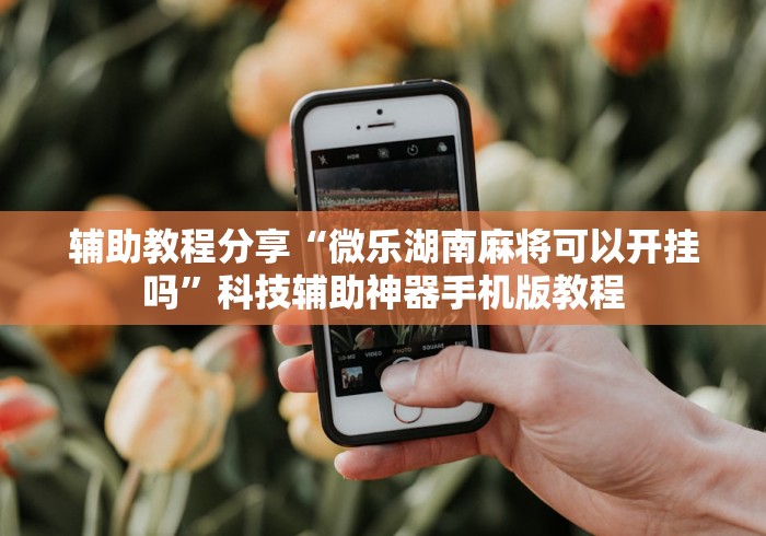 辅助教程分享“微乐湖南麻将可以开挂吗”科技辅助神器手机版教程