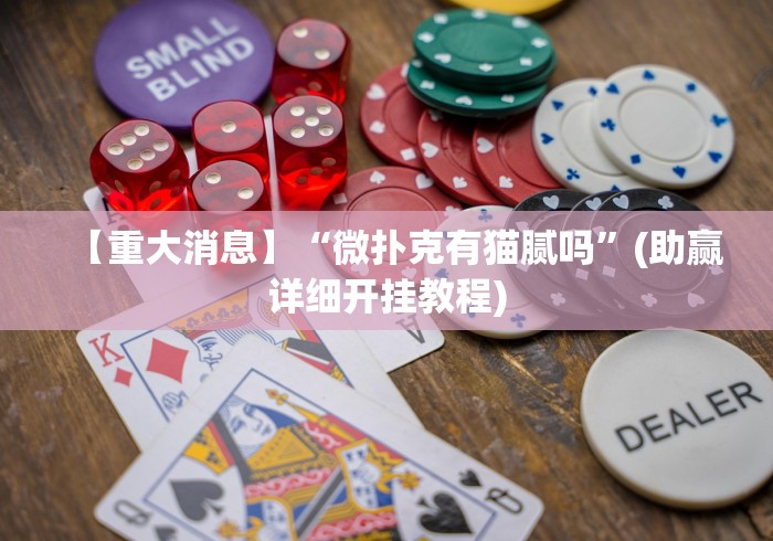 【重大消息】“微扑克有猫腻吗”(助赢详细开挂教程)