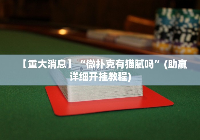 【重大消息】“微扑克有猫腻吗”(助赢详细开挂教程)