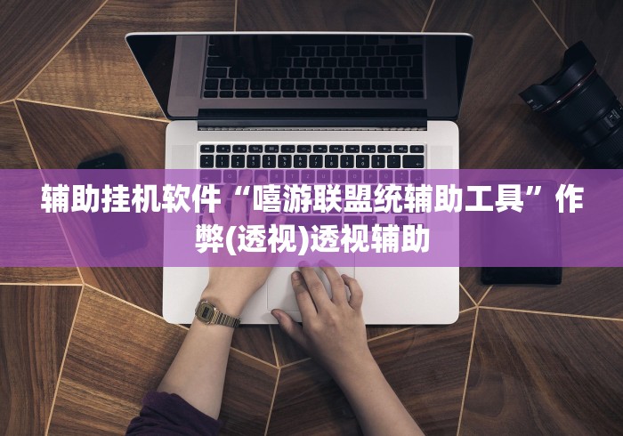 辅助挂机软件“嘻游联盟统辅助工具”作弊(透视)透视辅助