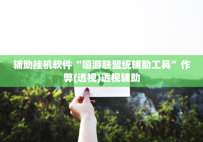 辅助挂机软件“嘻游联盟统辅助工具	”作弊(透视)透视辅助