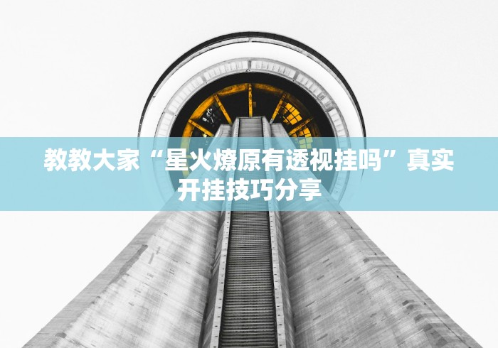 教教大家“星火燎原有透视挂吗”真实开挂技巧分享