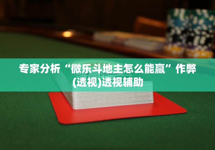 专家分析“微乐斗地主怎么能赢”作弊(透视)透视辅助