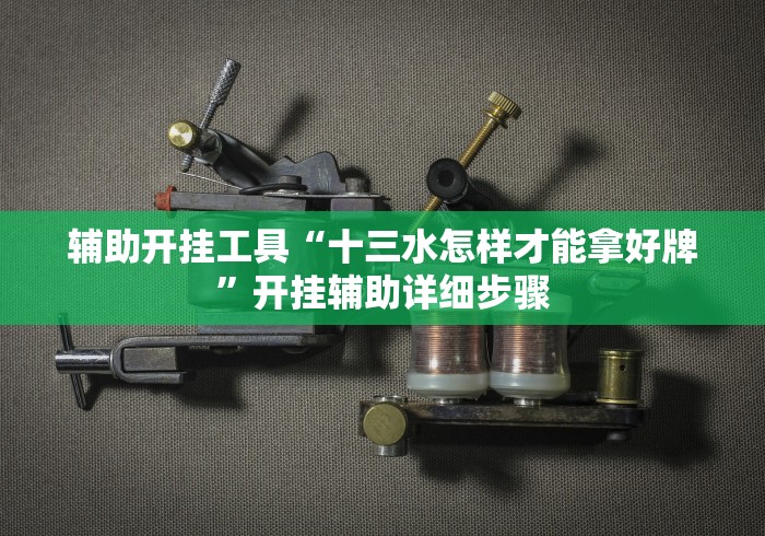 辅助开挂工具“十三水怎样才能拿好牌”开挂辅助详细步骤