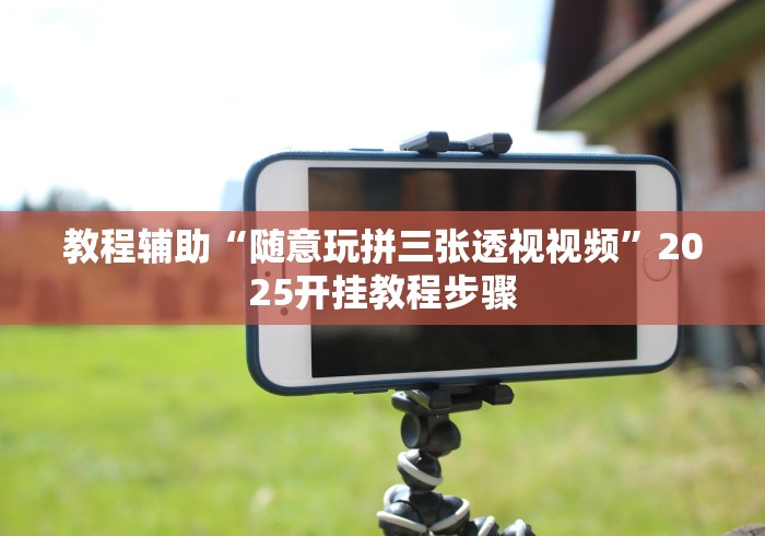 教程辅助“随意玩拼三张透视视频”2025开挂教程步骤