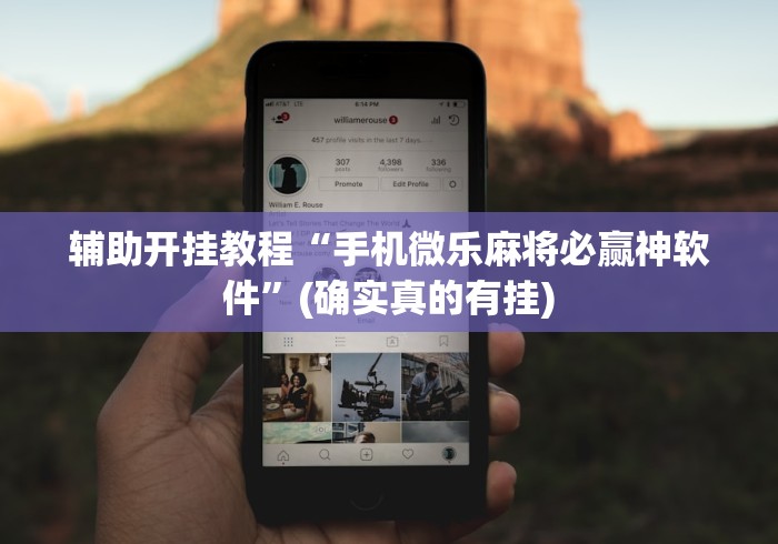 辅助开挂教程“手机微乐麻将必赢神软件”(确实真的有挂)