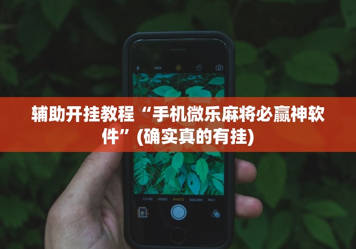 辅助开挂教程“手机微乐麻将必赢神软件”(确实真的有挂)