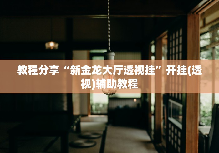 【第一资讯】“卡农大厅开挂辅助软件”(曝光透视必备猫腻)