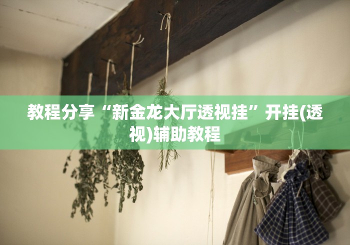 教程分享“新金龙大厅透视挂	”开挂(透视)辅助教程