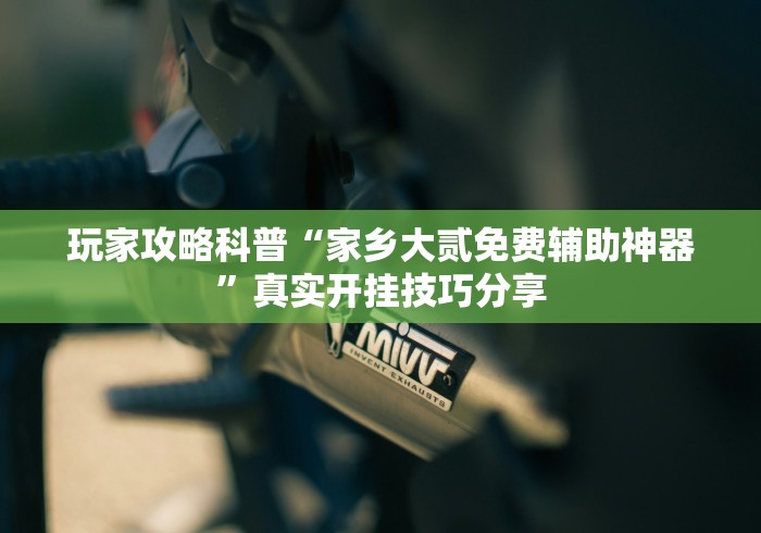 玩家攻略科普“家乡大贰免费辅助神器”真实开挂技巧分享
