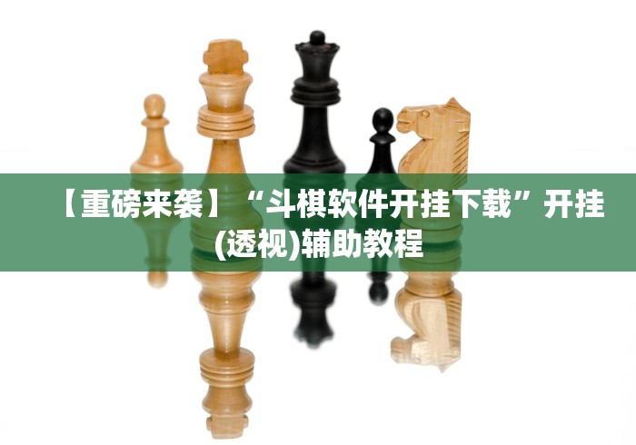 【重磅来袭】“斗棋软件开挂下载”开挂(透视)辅助教程
