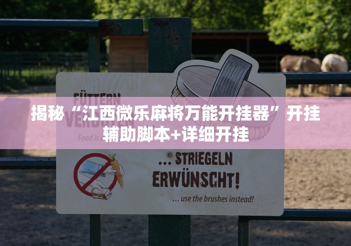 揭秘“江西微乐麻将万能开挂器”开挂辅助脚本+详细开挂