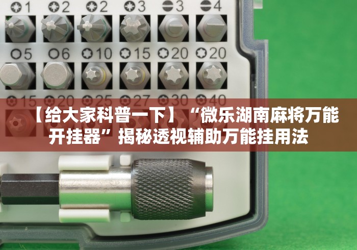【给大家科普一下】“微乐湖南麻将万能开挂器	”揭秘透视辅助万能挂用法