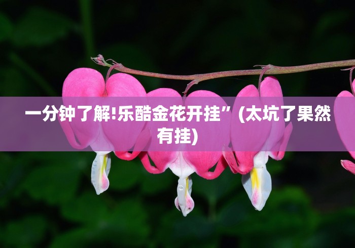 玩家必备攻略!闽游麻将十三水怎么开挂(透视挂真的假的)