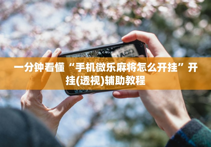 一分钟看懂“手机微乐麻将怎么开挂”开挂(透视)辅助教程