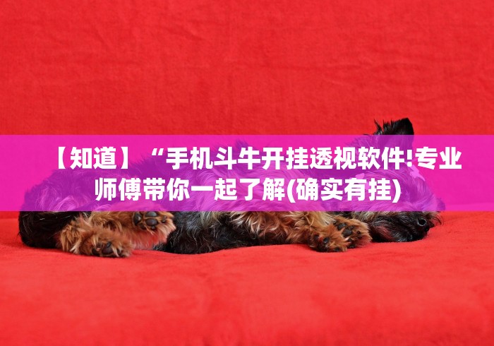 【知道】“手机斗牛开挂透视软件!专业师傅带你一起了解(确实有挂) 【知道】“手机斗牛开挂透视软件!专业师傅带你一起了解(确实有挂)