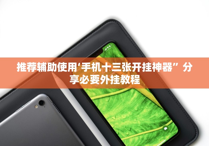 推荐辅助使用‘手机十三张开挂神器”分享必要外挂教程